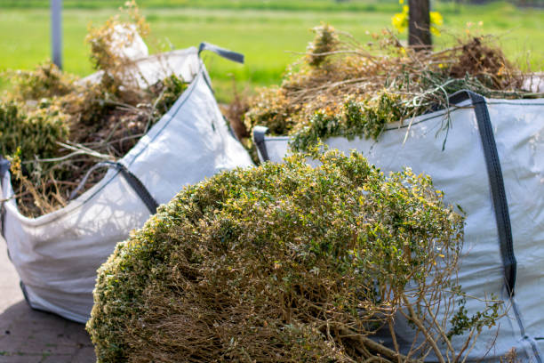 Full-Service Junk Removal in Cressona, PA